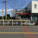 토평초등학교 | 서귀포 토평동 / 서귀포 김밥 ‘ 하이한담 서귀포점 ’