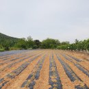 귀농공인중개사사무소 이미지