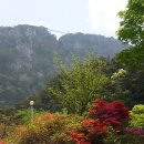 화순백아산농장
