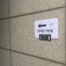 고양시 베이비돌전시회 후기