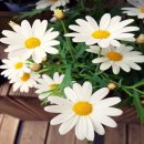 힐링산책코스 이미지