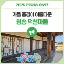 이수치과기송소 | 가을 풍경이 아름다운 청송 덕천마을