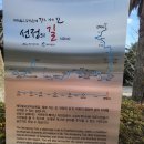 선덕사 소장 갑인자복각 묘법연화경 권1~2. 1책 | 제주도 절 이야기 네번째, 한라산 능선을 한눈에 감상할 수 있는 곳 선덕사