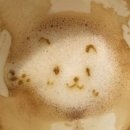 라두스 이미지