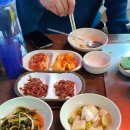 대진횟집 - 제주시 서부두길 28 | 대진횟집