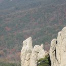 새울신협 이미지