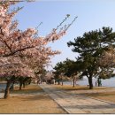 해군사관학교박물관 이미지
