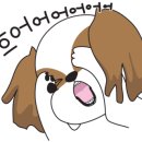 큐어벳 이미지