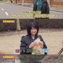 레이지니 이미지