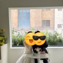 토탈스튜디오 로라스튜디오 촬영후기4(그리너리테이블)