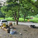 후평숲캠핑장 이미지