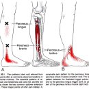 의선한의원 이미지