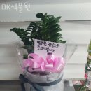 OK식물원 이미지