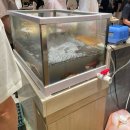 시야무역 | [웨딩베뉴]광명무역센터 컨벤션 3층 단독홀(그랜드볼륨) 하객 후기 및 뷔페 후기