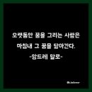 소피아음악학원 - 노원구 초안산로5길 12 | 소피아음악학원