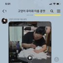 콩캣 이미지