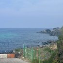 제주도 가볼만한 곳 소문난 맛집 전복 김밥 해물라면 성게미역국 제주 김만복 애월점 내돈내산 솔직후기
