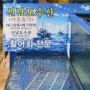 삼정(남) | 노량진수산시장 횟집 초장집 모둠회 새우튀김 내돈내산 후기｜주문진, 진남회양념, 튀김전문점 삼정집