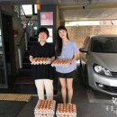 선례농장 네이버블로그