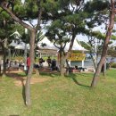 통기타(주말) 이미지