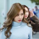 세하 이미지