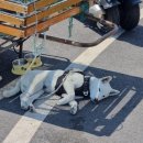 엘지민박 이미지