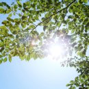 리턴스킨 이미지