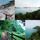 쪽빛언덕 이미지