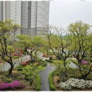 꿈그린부동산중개 이미지