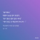 아,귀여워 이미지