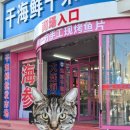 市场 (무인양품 양말 / 팬티) + 샤오미 전동칫솔 + 대련레이저쇼 + 동방수성 + 대련노가 야식과 생맥주집