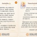 법계신 이미지