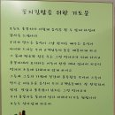 꽁지김밥홍세선인
