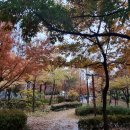 라라쉼터 이미지