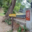 (세종시 인근 산) 직지사를 품은 황악산