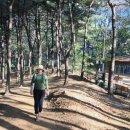 덕안근린공원 이미지