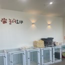놀러오개 애견유치원 애견호텔 풍동식사점 이미지