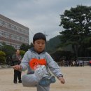 용남초등학교 이미지