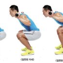디에타PT 이미지