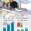 패션바다 머니투데이