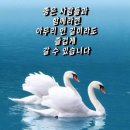 (주)좋은아침 이미지