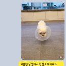 원러브동물의료센터 네이버블로그