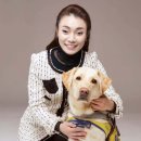 법의의원 이미지