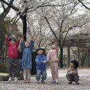 용인대 국가대표 해들 태권도 이미지