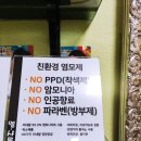 엘샤론 이미지