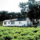 수원-0155 이미지