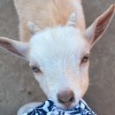 고은경희한의원 이미지