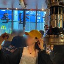 씨이에스 | 바른생각 콘돔 에어핏 솔직 후기