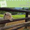 모두의배움숲(열매반) | 거제 숲소리공원 모노레일 예약 동물체험 아이랑 가볼만한곳