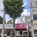 가로수